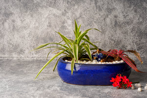 Ceramic bonsai planters