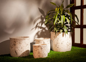 Petra — GRC Planters